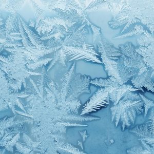 AdobeStock 245752055upgg