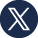 x logo